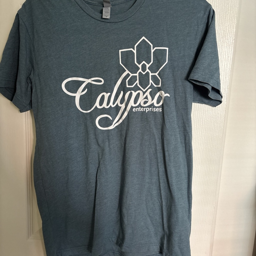 Calypso Enterprises Blue T-Shirt